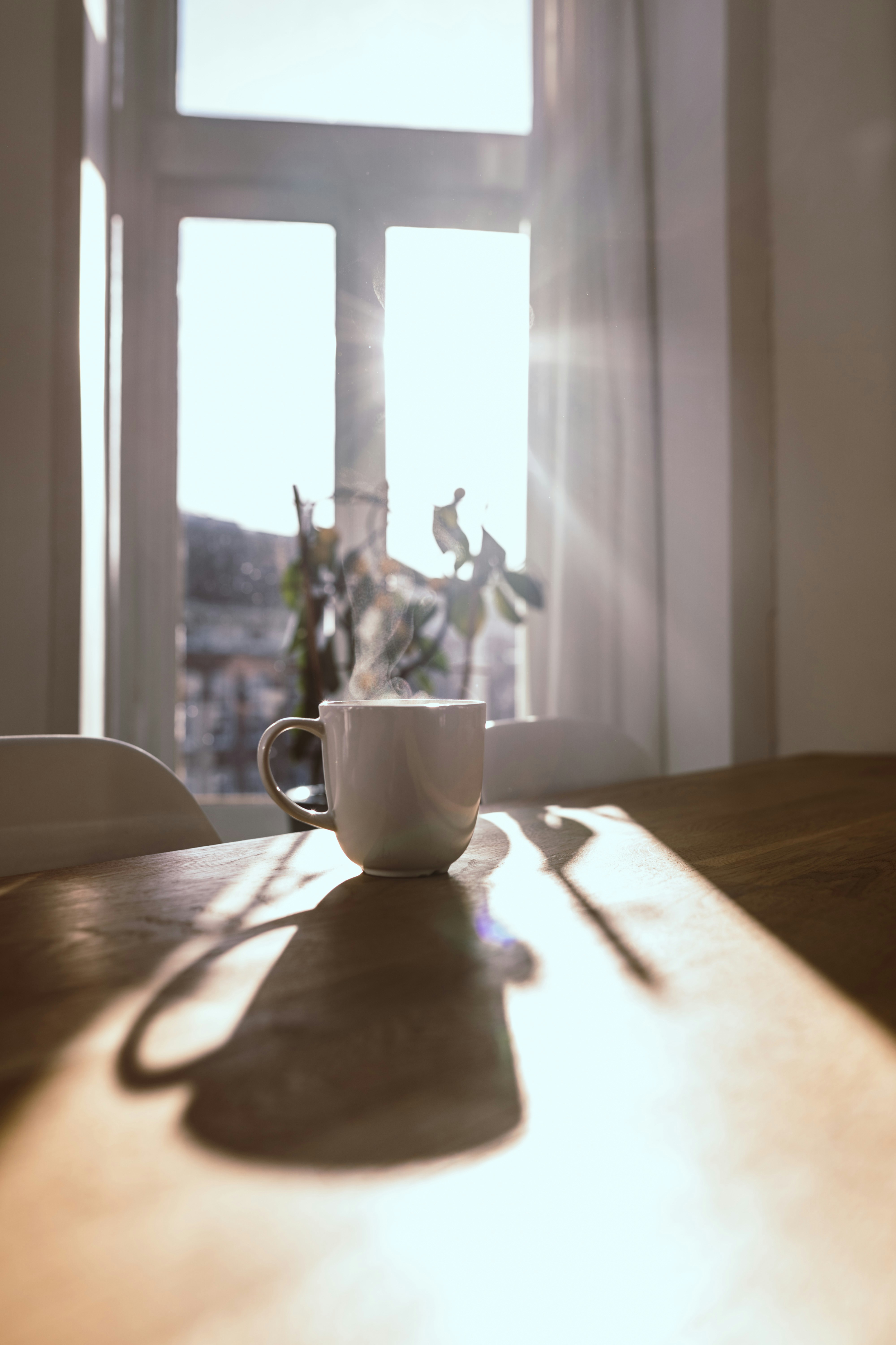 A coffee mug on a sunlit table by a window